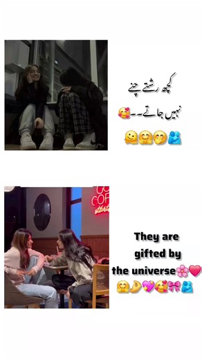 Best Friend Video Compilation with Heartwarming Moments