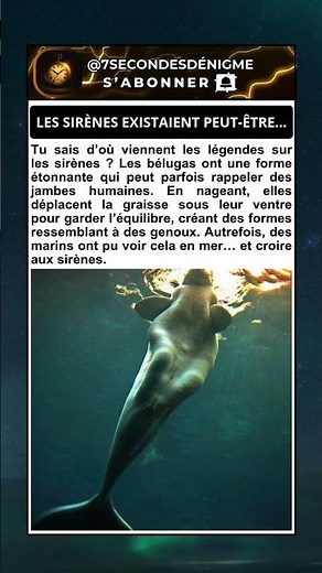 Le vrai secret des sirènes 🧜‍♀️
