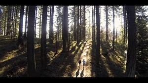 What Moves You? A film for runners by runners