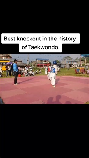 The Greatest Knockout in Taekwondo History