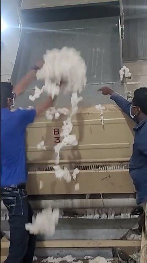 ginning mill - removing seeds from cotton