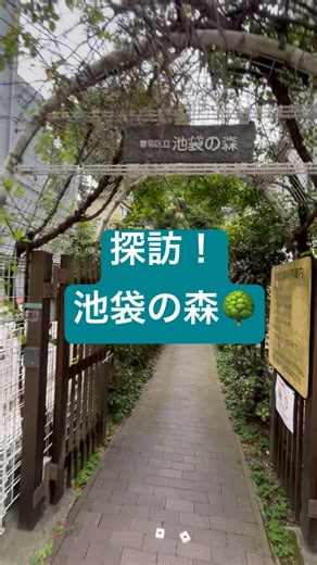 【探訪】東京にもあったんだ #池袋の森 #池袋 #shorts