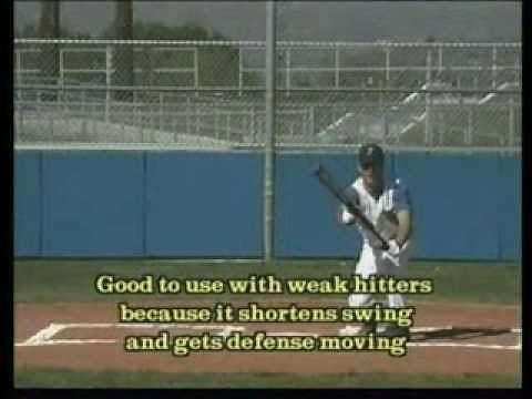 Breaking Down the Slash Bunt