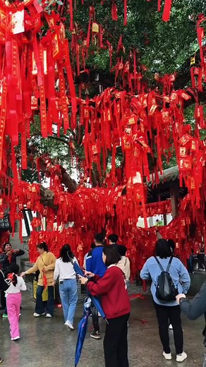 148 @upyueyu #粵語 #粤语 #china #chinese #douyin #songs #guangdong #cantonese #xuhuong #song #hongkong #guangzhou #chinasong