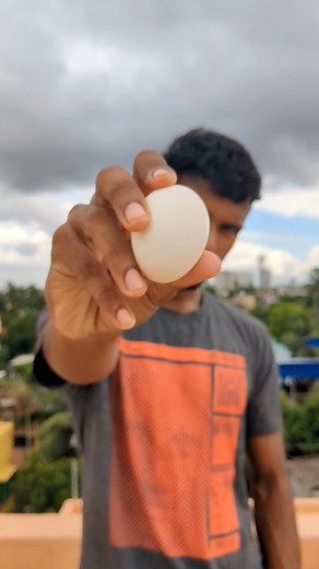 6.1K reactions · 38 comments | I Boiled An Egg Using 220 Volt . . . . . . #explorepage #experiment #egg | Debasish Mondal | Facebook