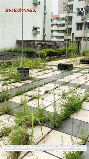 Weed Control: How a Simple Tool Cleans Paving Gaps Completely