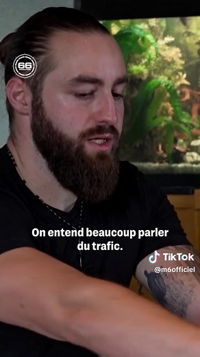 Adopter un savannah F2 : le cas d'Urus et la licence spéciale