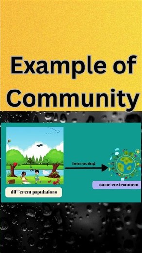 Example of community in biology# Umair Khan