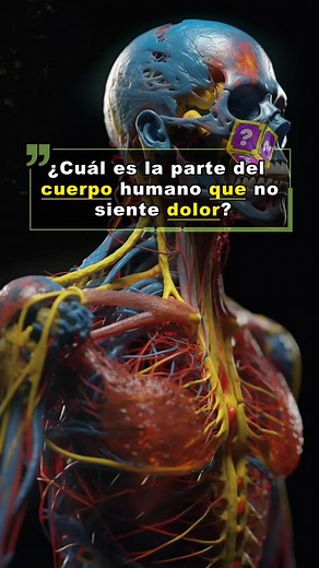 Trivia sobre la anatomía humana y Grey's Anatomy