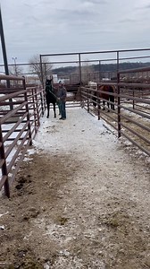 6878 | Ryon's Rescue Pen