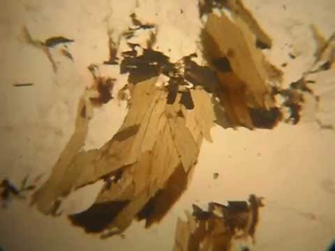 BIOTITE thin section under Polarizing Microscope