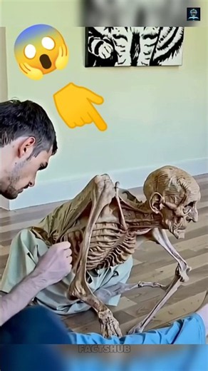 The Oldest Humans Ever Recorded! 🤯