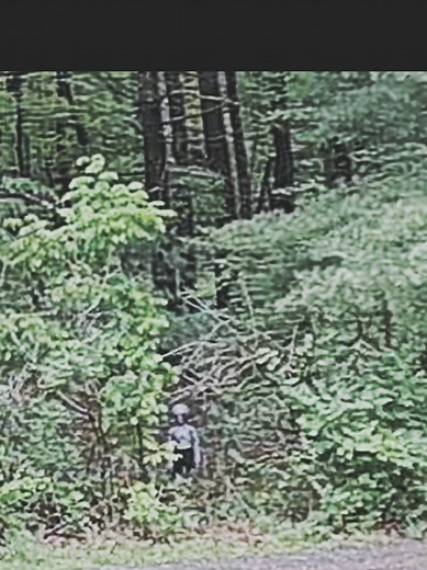 Alien caught on home security camera #alien #unknown #unexplained #paranormal #creepy #strange #scary #horror #appalachia #wv
