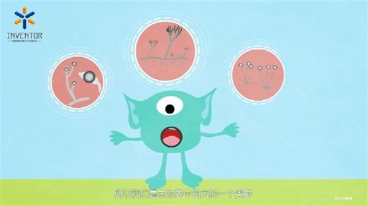 【科普】带你认识真菌