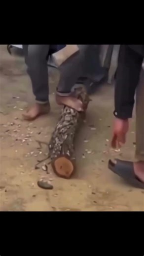 This Could’ve Ended VERY Badly ⚠️