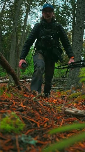 Macro Photography: Start Your Youtube Channel Today! Create with Simple Gear DJI Neo & DJI Action 5