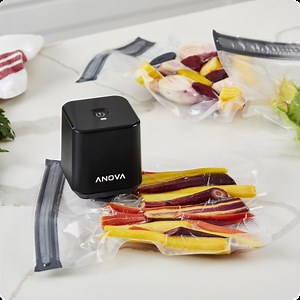 Anova Precision Port Handheld Vacuum Sealer Kit