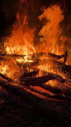 Relaxing Campfire Sounds🔥 ASMR #asmrsounds #campfiresounds #relaxingsounds