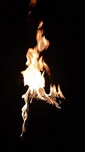 Download Fire torch burning blast explosions'  jungle fire campfire, for free