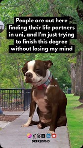 Dissertation Writing Service | Coach on Instagram: "Meanwhile, some of us are just trying to finish this degree without losing our minds. If you’re knee-deep in deadlines, revisions, and that never-ending thesis… I see you. Tag someone who’s in survival mode Share this with your fellow sleep-deprived academic warrior 📩 Need help with essays, research, or dissertation writing? DM “HELP”—let’s lighten that workload! #mastersdegree #masters #gradschool #studyabroad #phdproblems #drfredphd #graduat