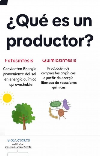 Productores en Biología: Autótrofos y su Importancia