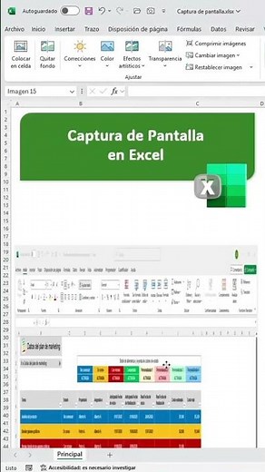 Screenshot in Excel 📸 📊 #excel #exceltips #advancedexcel #tips