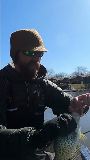 Garmin LiveScope vs Lowrance Active Target. #crappiefishing #livescope #activetarget #ffs