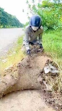 Road Corridor Restored After Extreme Grass Overgrowth