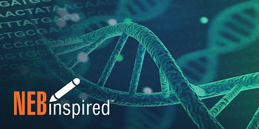 Proven tips for PCR primer design