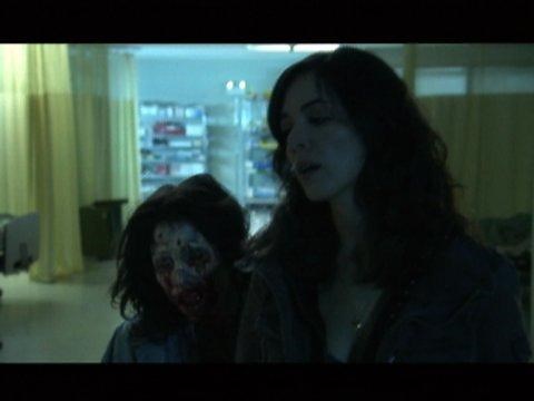 Diary of the Dead (2007)