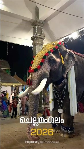 Maduraipur Kannan takes the elephant from the temple of the goddess Chellamangalam #temples #elep...