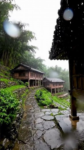 Hurricane Rain Sounds For Sleeping #shortviralfeed