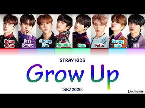 Stray Kids "Grow Up" (SKZ2020) colorcodedlyrics [Han-Rom-Eng]