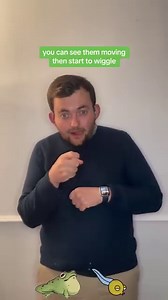 Today’s new Sign in British Sign Language is? Today’s sign is #Frog & #Tadpole ! Join me everyday for new signs in British Sign Language! #deaf #bsl #sse #signlanguage #animals #amphibians #tadpoles #canal #river #🐸 Note: I’m from the South UK so some signs are regional! | The Deaf Chef