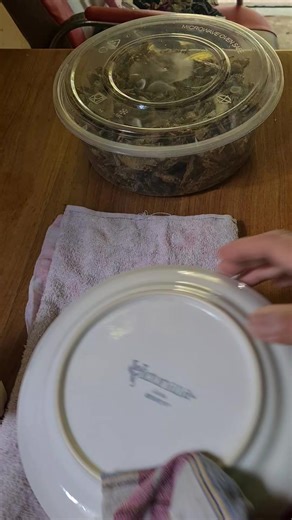 Quick and Easy Lunch Preparation Ideas