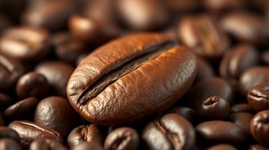 what is the caffeine content of a coffee bean? - Test Food Kitchen