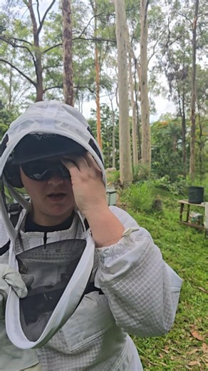 Teralba Park Honey | Beekeeping & Education | Its summer here in Queensland, which means its hot, humid and sticky...but not always the sweet honey kind of sticky! Yes we are an... | Instagram