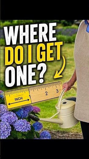 What Even IS an Inch of Water? 🤔