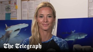 ‘Irresponsible’: The shark whisperer encouraging us to swim with great whites