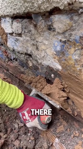 Mark Marshall on Reels