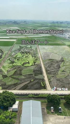 鬼滅の刃田んぼアート：埼玉県行田市の魅力
