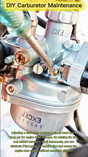 DIY Carburetor Maintenance