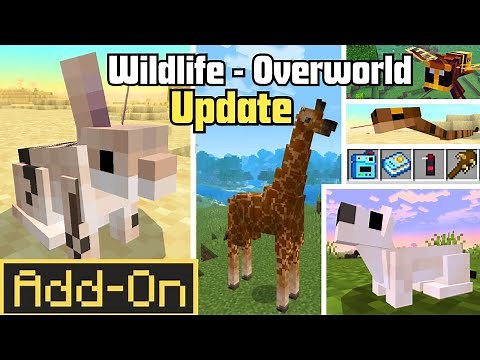 Wildlife Overworld 1.2 – 500+ New Animals & Smarter Mobs in Minecraft! 🐾
