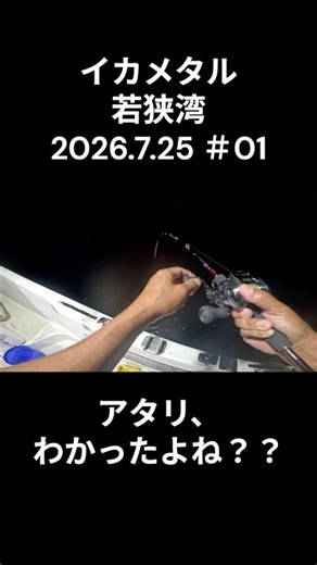 イカメタル ケンサキイカshort01 2026.7.25 ～若狭湾 福井県三方郡美浜沖～