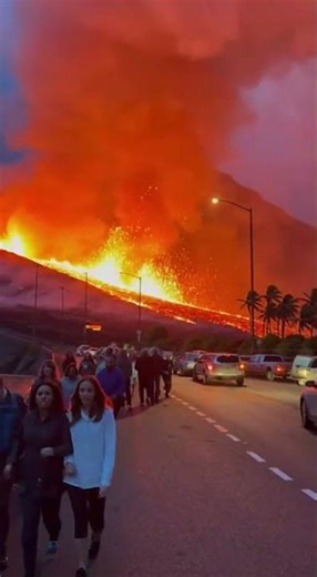 Coastal Highway Meltdown 🚨🔥