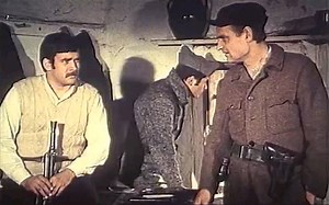 云杉U gori raste zelen bor（Part1）