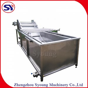 [Hot Item] High Pressure Cleaner Air Bubbling Washing Machine for Mushroom Tomato Carrot