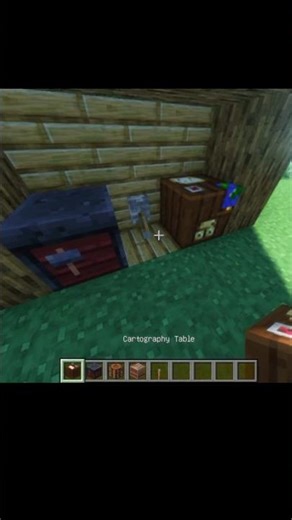 Minecraft Block Swapper 👀