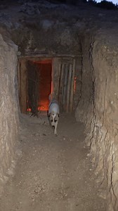 1.7M views · 38K reactions | Back to My Hidden Shelter | Exotic Solo...