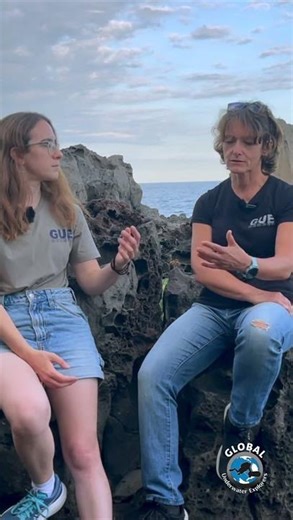 Teaching Open Water course works best when it feels like a conversation, not a lecture.